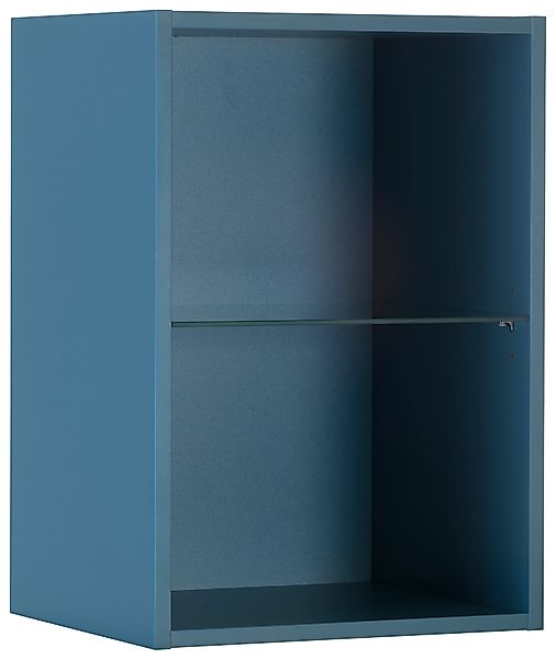 OPTIFIT Hängeregal Mini, mit Glaseinlegeboden günstig online kaufen