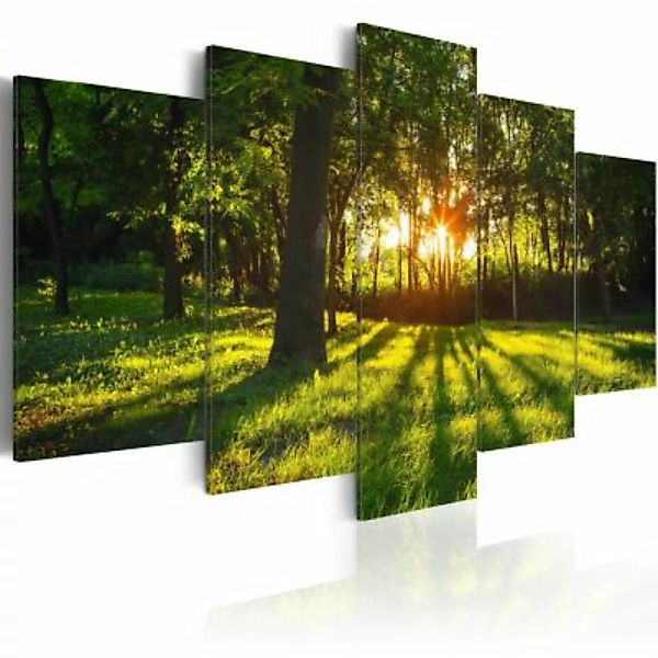 artgeist Wandbild The forest reflection mehrfarbig Gr. 200 x 100 günstig online kaufen