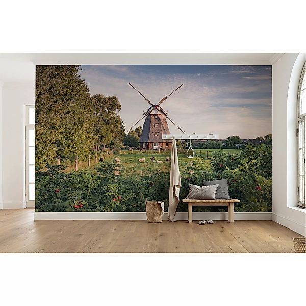 KOMAR Vlies Fototapete - Tage wie Diese - Größe 450 x 280 cm mehrfarbig günstig online kaufen