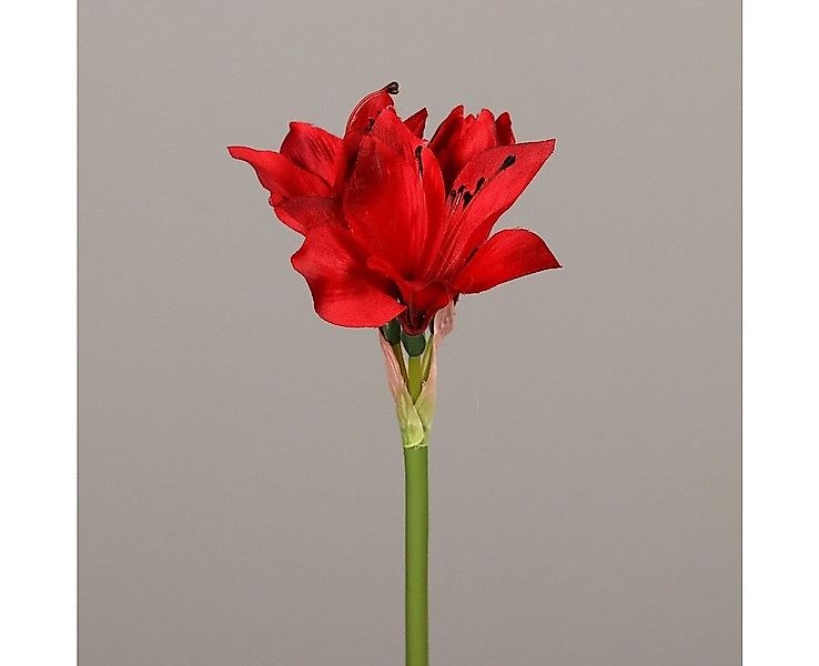 Kunstpflanze DPI Amaryllis rot 51 cm, DPI günstig online kaufen