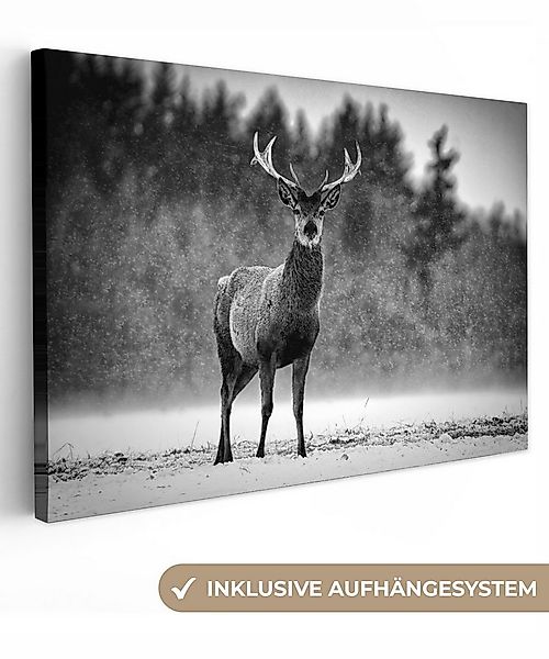 OneMillionCanvasses® Leinwandbild Tiere - Hirsche - Winter - Schwarz - Weiß günstig online kaufen