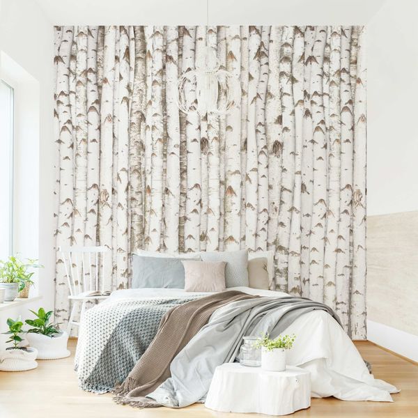 Bilderdepot24 Vliestapete Holzoptik Birkenwand Bäume Wald günstig online kaufen