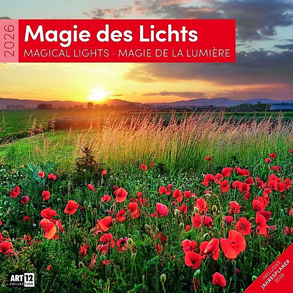 Magie des Lichts Kalender 2026 - 30x30 günstig online kaufen