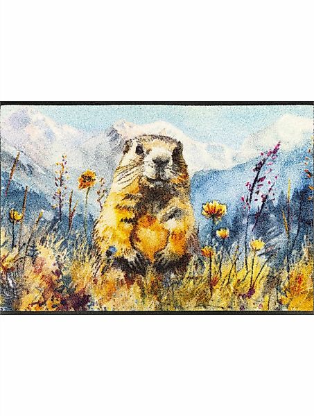 Fußmatte 7 mm Höhe günstig online kaufen