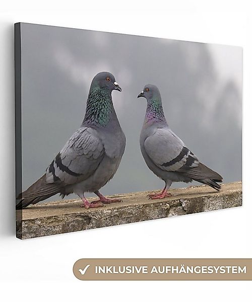 OneMillionCanvasses® Leinwandbild Tauben - Kofferraum - Grau, Fotodruck (1 günstig online kaufen