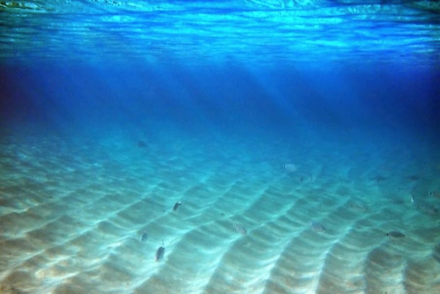 Papermoon Fototapete »Meeresboden« günstig online kaufen