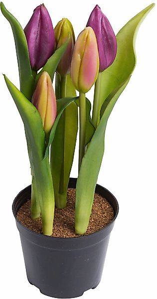 my home Kunstblume "Tulpenpflanze mit 5 Knospen" günstig online kaufen