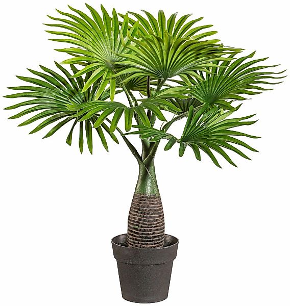 Kunstpalme Palme Mini Palme, Creativ green, Höhe 45 cm, im Kunststofftopf günstig online kaufen