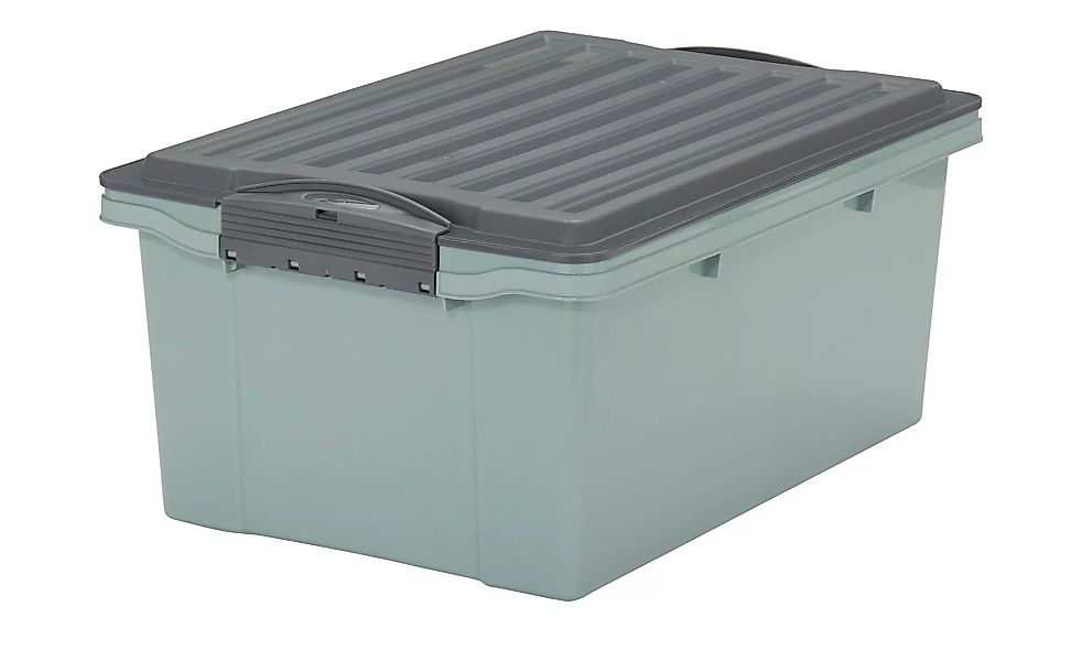 Rotho Aufbewahrungsbox mit Deckel - grün - 27,5 cm - 18 cm - Aufbewahrung > günstig online kaufen