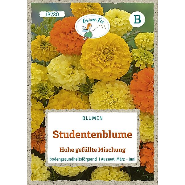 Grüne Fee Studentenblume Hohe Gefüllte Mischung Saatgut günstig online kaufen