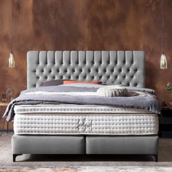 BettCo Boxspringbett Chester (in Grau Velours, günstig online kaufen