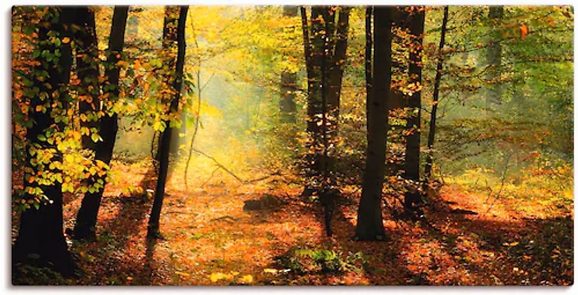 Artland Wandbild »Herbstlicht im Wald«, Wald, (1 St.), als Leinwandbild, Po günstig online kaufen