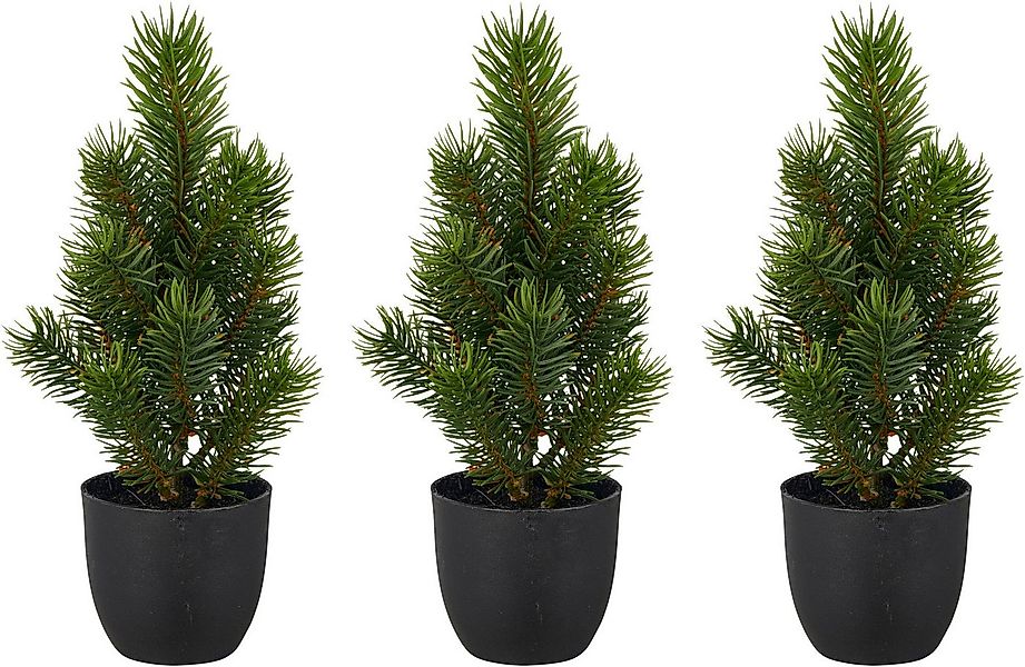 Winterliche Kunstpflanze Tannenbäumchen, Creativ green, Höhe 25 cm, mit nat günstig online kaufen