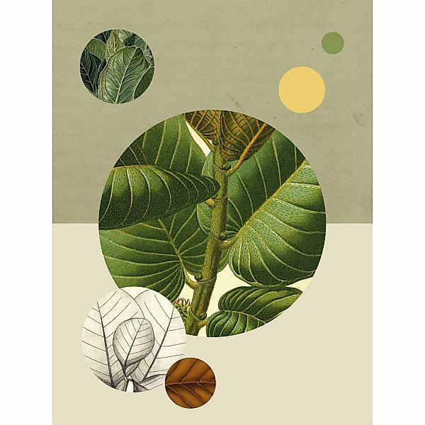 Komar Bild "Green Structure", Pflanzen-Blätter, (1 St.), Wandbild zur Dekor günstig online kaufen
