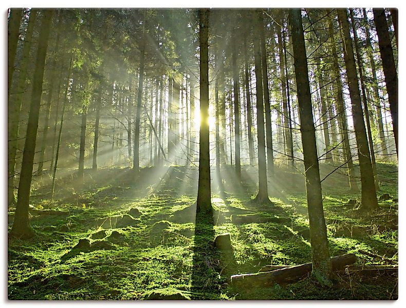 Artland Wandbild »Wald im Gegenlicht«, Wald, (1 St.), als Leinwandbild, Pos günstig online kaufen
