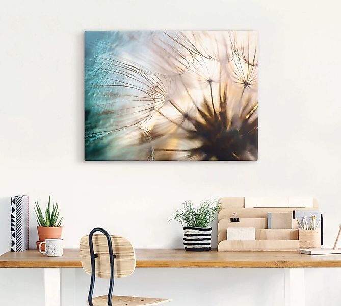 Artland Wandbild "Pusteblume Makro abstrakt", Blumen, (1 St.), als Alubild, günstig online kaufen