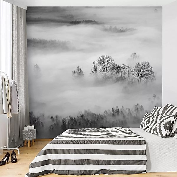 Fototapete Nebel bei Sonnenaufgang Schwarz Weiß günstig online kaufen