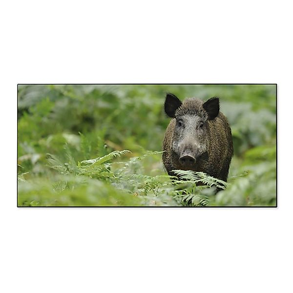 Banjado Magnettafel 78x37cm Magnetwand  Schwarz Aus Metall Magnetpinnwand P günstig online kaufen