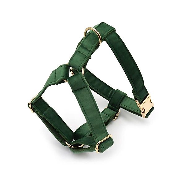 dazikemo Geschirr Hundegeschirr Forest M günstig online kaufen