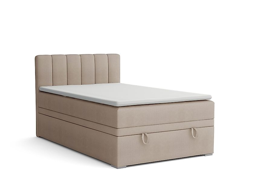 Deine Möbel 24 Boxspringbett DAVID MINI günstig online kaufen