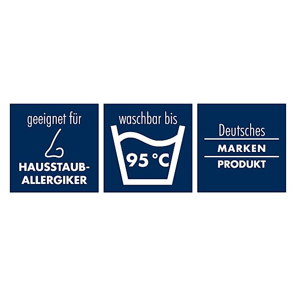 Irisette Sale Microfaserbettdecke Jette, Füllung: Markenhohlfaser günstig online kaufen