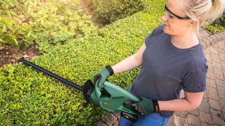 Bosch 18 V Akku-Heckenschere EasyHedgeCut 18-45 inkl. Akku & Ladegerät günstig online kaufen