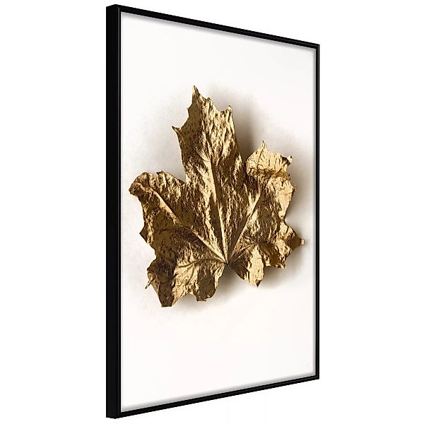 Poster - Dried Maple Leaf günstig online kaufen