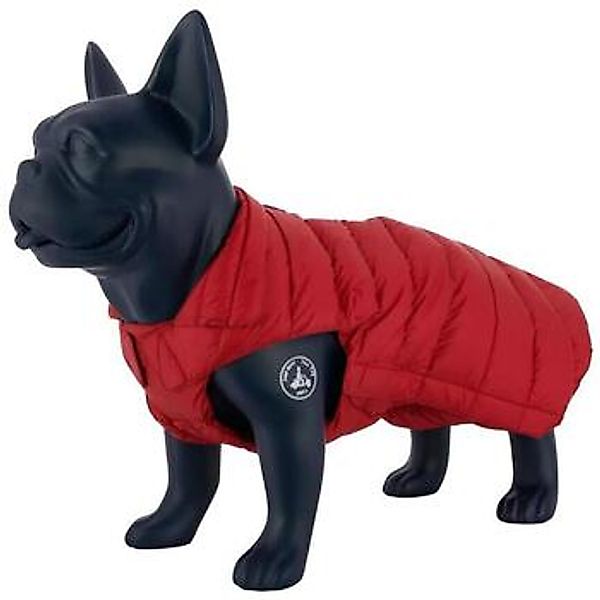 JOTT  Herrenmantel FW22AOTH10 günstig online kaufen