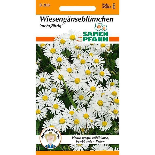 SAMEN PFANN Gänseblümchen Wiesengänseblümchen günstig online kaufen