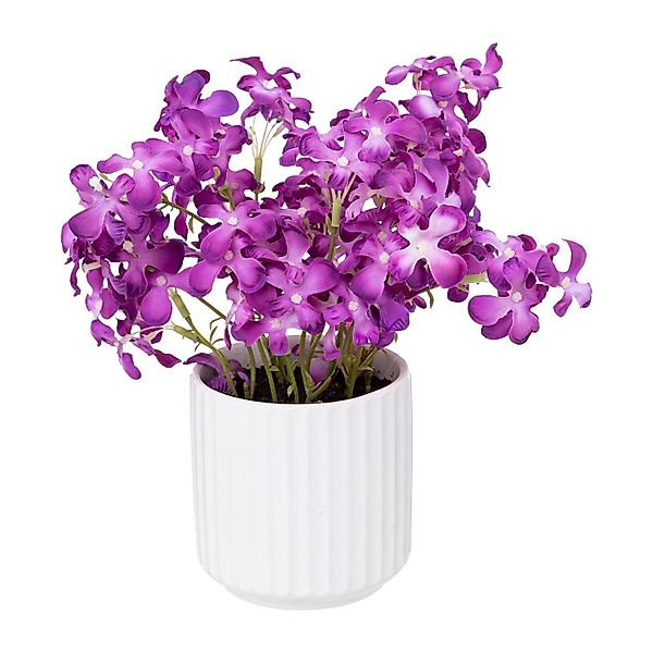 Kunstpflanze Zimmerpflanze, Atmosphera Créateur d'intérieur, Höhe günstig online kaufen