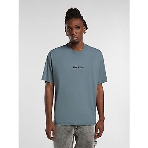 Dickies  T-Shirts & Poloshirts ENTERPRISE TEE DK0A4YRN-G701 STORMY WEATHER günstig online kaufen