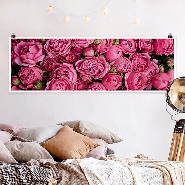 Panorama Poster Blumen Pinke Pfingstrosen günstig online kaufen