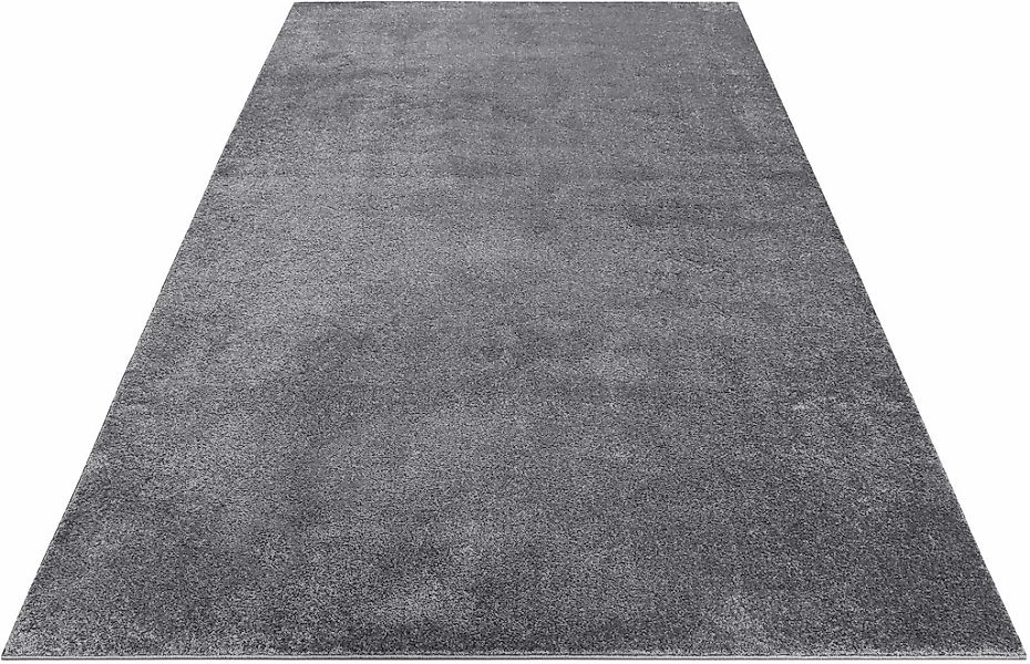 Esprit Teppich "Campus ESP-0035" rechteckig 17 mm Höhe sehr flauschiger, di günstig online kaufen