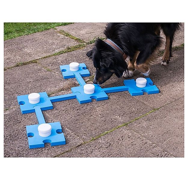 Procyon Tier-Intelligenzspielzeug PROCYON Schnüffelspaß - blau günstig online kaufen