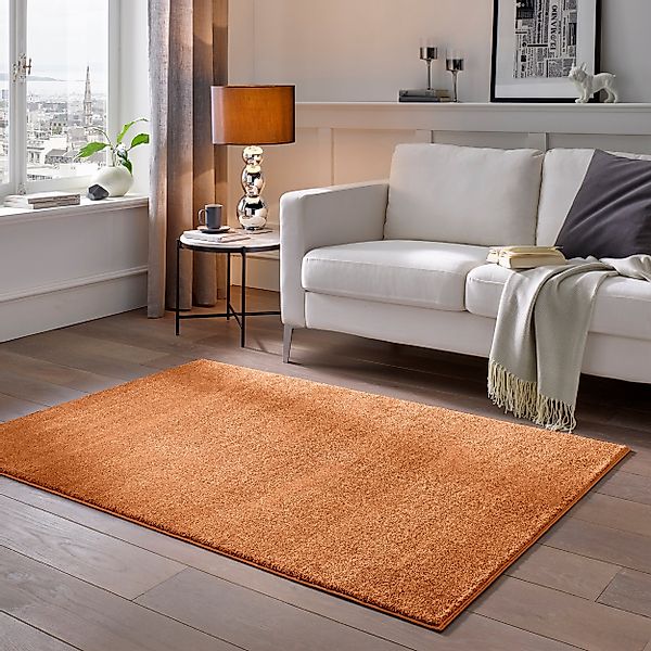 TaCa Home Teppich Hochwertiger Webteppich aus günstig online kaufen