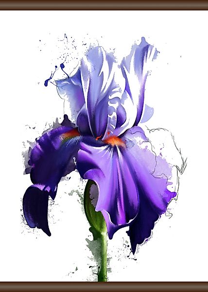 queence Leinwandbild "Lila Blüte", 50x70 cm günstig online kaufen