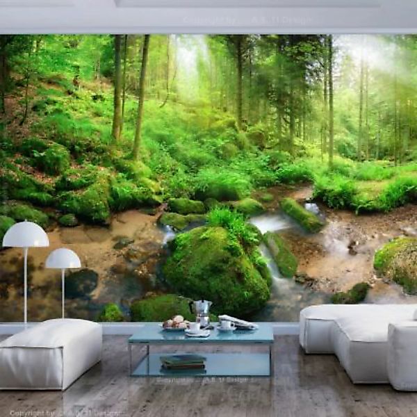 artgeist Fototapete Humid Forest mehrfarbig Gr. 350 x 245 günstig online kaufen