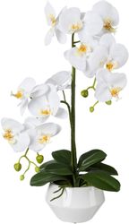 Kunstpflanze Orchidee, Creativ green, Höhe 52 günstig online kaufen