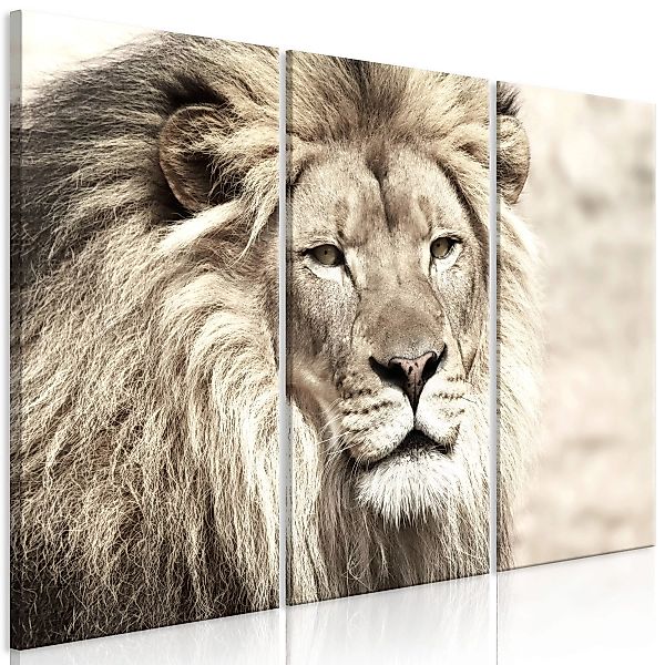 Wandbild - The King of Beasts (3 Parts) Beige günstig online kaufen