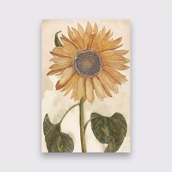Wandkraft | Wanddekoration Sonnenblume günstig online kaufen
