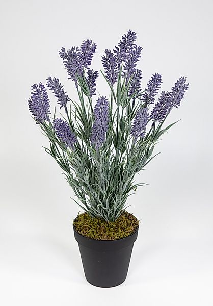 Kunstblume Künstlicher Lavendelbusch 54cm im Topf günstig online kaufen