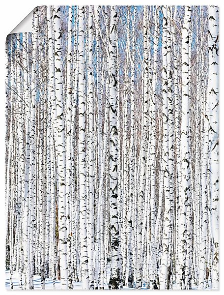 Artland Wandbild "Winterbirkenwald Wintergelassenheit", Bäume, (1 St.), als günstig online kaufen