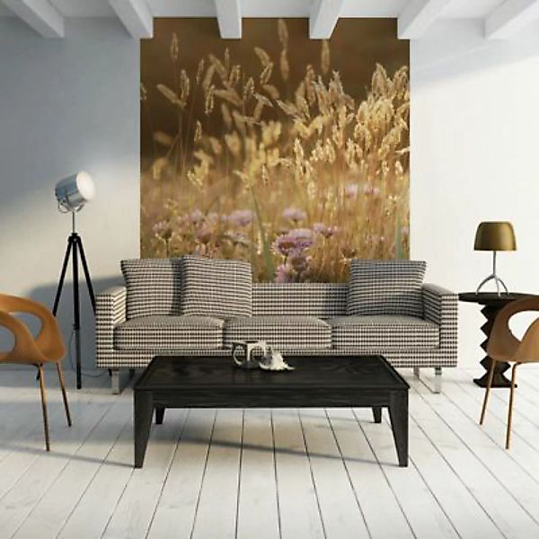artgeist Fototapete Awakening ceral field mehrfarbig Gr. 350 x 270 günstig online kaufen