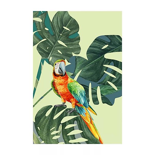 Komar Poster »Green-Winged Macaw«, (1 St.), Kinderzimmer, Schlafzimmer, Woh günstig online kaufen