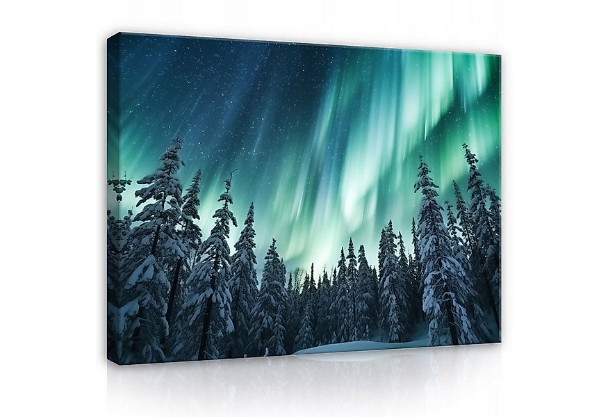 Wallarena Leinwandbild Wald Sonne Natur Grün Wandbild Groß Wandbilder Leinw günstig online kaufen