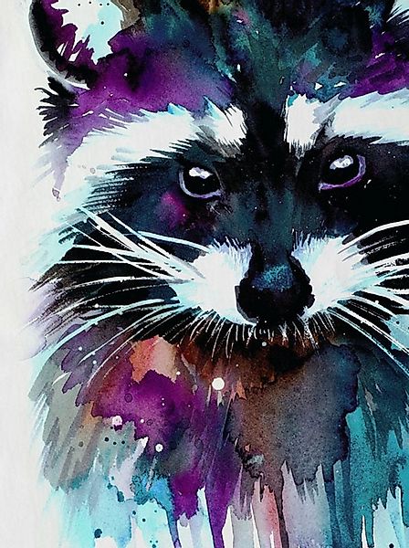 style3 T-Shirt Aquarell Waschbär raccoon zoo wald zoo raccoon usa günstig online kaufen