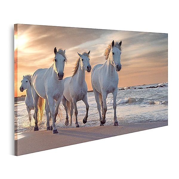 islandburner Leinwandbild Bild auf Leinwand Weiße günstig online kaufen