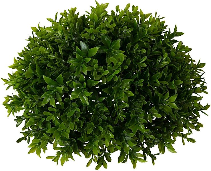 Kunstpflanze Buchsbaumhalbkugel, Creativ green, Höhe 14 günstig online kaufen