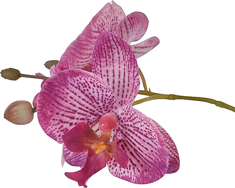 Kunstpflanze Orchidee, Home affaire, Höhe 38 cm, Kunstorchidee, im Topf günstig online kaufen