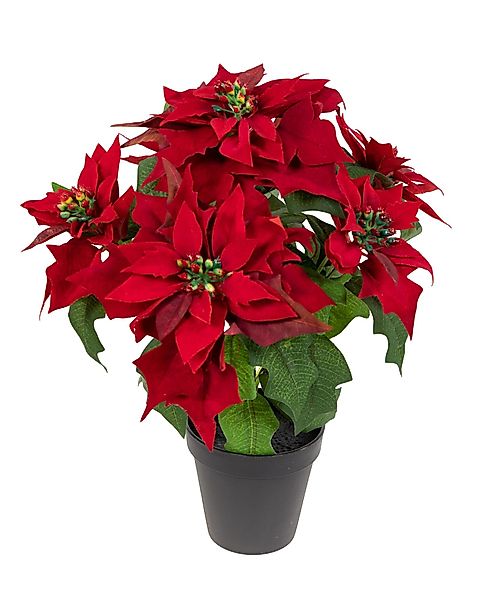 Kunstblume Weihnachtsstern Nature samt-rot im Topf günstig online kaufen